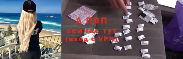 spice Богданович