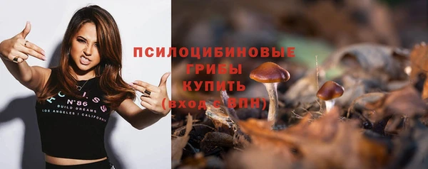 spice Богданович
