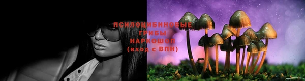 мдма Богородицк