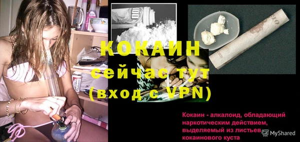 spice Богданович