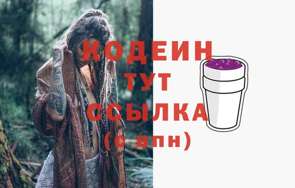 spice Богданович