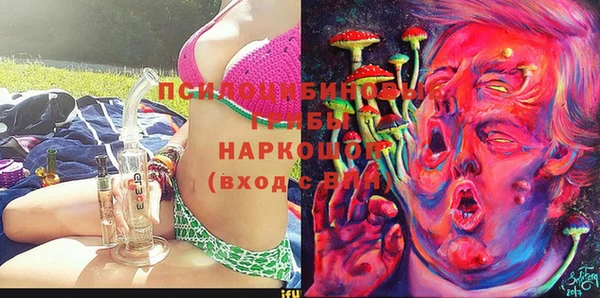 ГАЛЛЮЦИНОГЕННЫЕ ГРИБЫ Богородск
