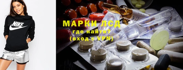 spice Богданович