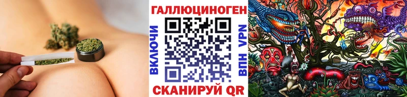 Галлюциногенные грибы GOLDEN TEACHER  купить наркоту  mega ССЫЛКА  Горно-Алтайск 
